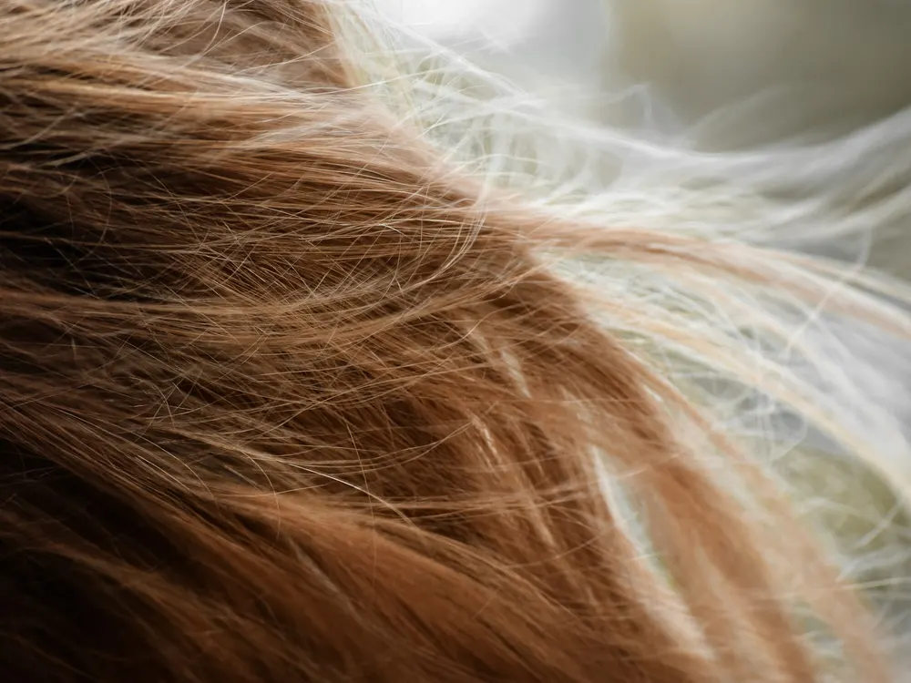 Cabelo com coloração